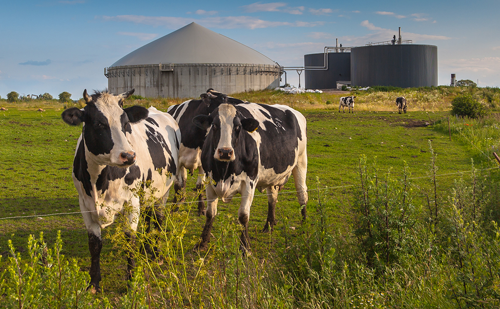 Du biogaz pour la future STEP intercommunale